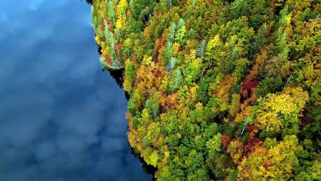 Top view of the autumn forests on the shore of Lake Toplitz in the Austrian Alps.