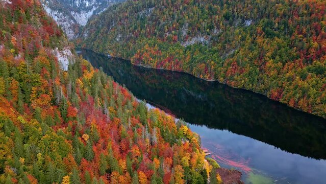 High aerial view of Lake Toplitz surrounded by autumn forests in the Austrian Alps.