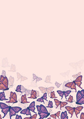 Vector frame with butterflies
