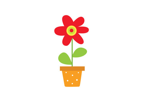 flower in flowerpot