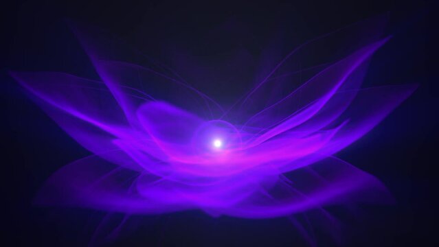 Abstract lotus flower with transparent petals, soft light inside and purple glow effect , looped video, 4k , 60 fps