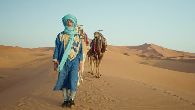 Berber man with 3 camels walking in the Sahara desert, Morocco