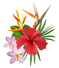 Tropical bouquet with red hibiscus flower, pink plumeria, bird of paradise and green leaves isolated on transparent background