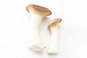 白背景にエリンギ