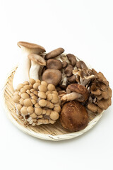 キノコの盛り合わせ