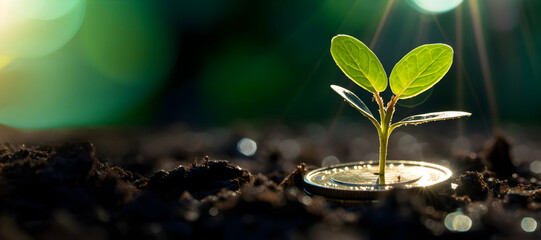 small green sprout breaking through a pile of coins, epitomizing the potential for financial growth and the impact of smart investment decisions. copy text space - obrazy, fototapety, plakaty