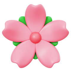 Japanese Cherry Blossom Flower 3D Icon Transparent Background For UI/UX