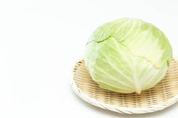 白背景にキャベツ