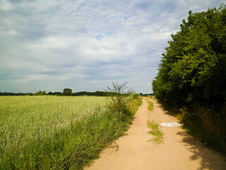 Road over fields in Kashubia. Poland