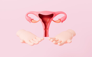 Human uterus model, 3d rendering.