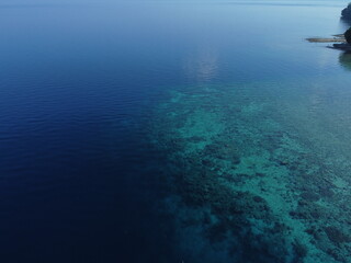 Fototapeta na wymiar Tranquil Underwater Scenery: Peaceful Marine Life in Clear Blue Ocean in maluku