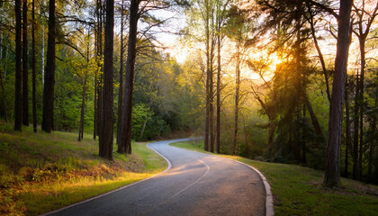 Obraz premium A serene sunset road winding through a forest