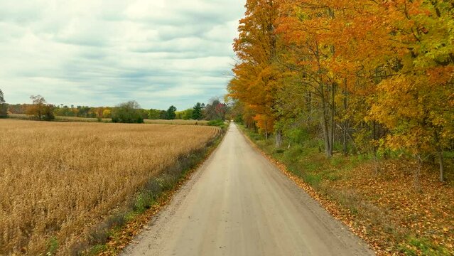 Tracking forward down a bumpy dirt road in fall.