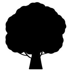beech tree icon 