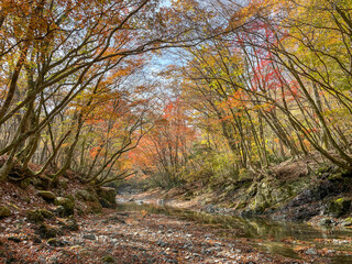 Obraz premium 鈴鹿 愛知川の紅葉