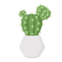 Cactus and succulent in pot domestic colorful cartoon vector illustration - 673619473