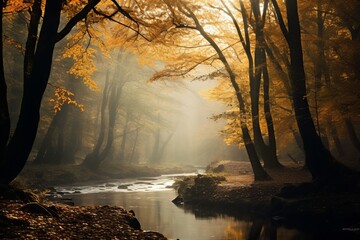 A dreamy shot of mist enveloping a tranquil forest, imbuing the scene with an air of mystery and enchantment during fall