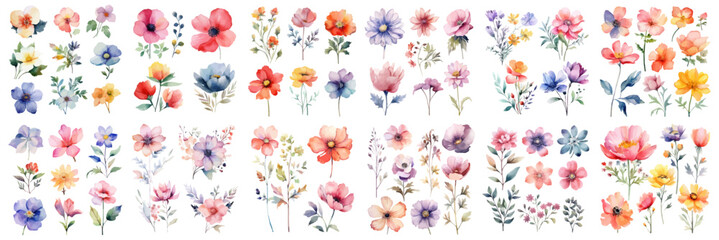 Fototapeta na wymiar A Big watercolor floral package collection. Use by fabric, fashion, wedding invitation, template, poster, romance, greeting, spring, bouquet, pattern, decoration and textile. 