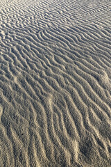 Stretch of sand smoothed by the strong wind