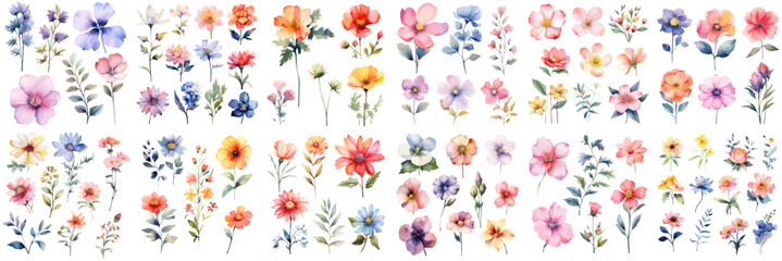 A Big watercolor floral package collection. Use by fabric, fashion, wedding invitation, template, poster, romance, greeting, spring, bouquet, pattern, decoration and textile.	