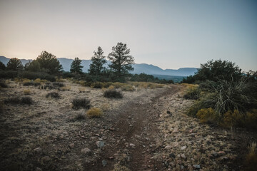 Dirt ATV trail in Camp Verde in desert landscape with juniper trees at dusk with Black Hills in...