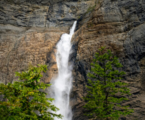 waterfall in the forest
