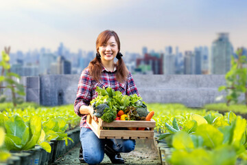 Asian woman farmer is carrying the wooden tray full of freshly pick organics vegetables in her garden for harvest season and healthy diet food concept