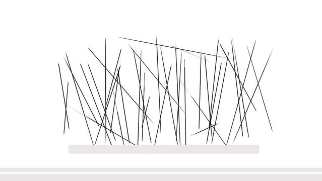 Black needles flash over the gray stripes