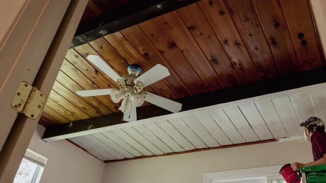 Home Ceiling Painting Timelapse