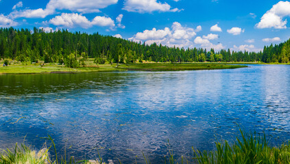 Fototapeta premium Scenic View of Lake in Forest .