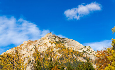 A Majestic Mountain Peak Surrounded by Lush, Green Trees and Serene Nature. A view of a mountain...