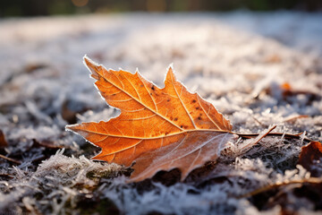 Frosty macro stock photography autumn leaves on a winter morning snow ground. Generative AI