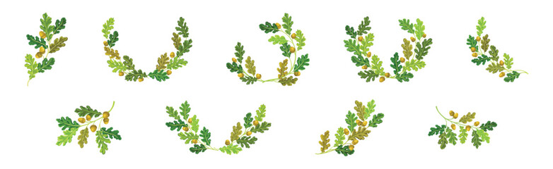 Oak Branches with Green Leaves and Acorns Arranged in Laurel Vector Set - obrazy, fototapety, plakaty