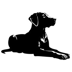 Dog Pose Vector silhouette illustration black color