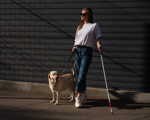 Blind woman walking guide dog outdoors. 