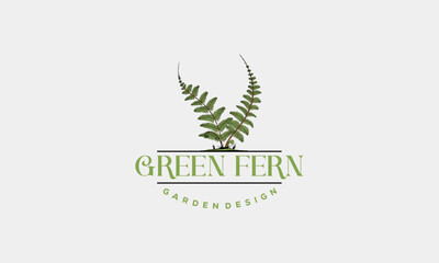 Green Fern logo icon design template vector, Hand Drawn Fern garden Designs template vector - obrazy, fototapety, plakaty