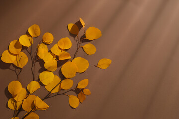 Minimal scene of a lot of dried leaves in yellow color scattered on brown background. Copy space and blank space for products presentation