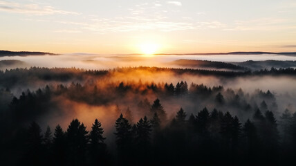 Dawn over the forest. View from a drone.