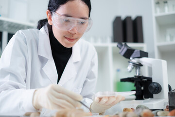 A female geologist or archaeologist is analyzing and focusing on a sample of rock or mineral in...