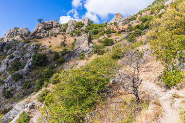 Mysterious mountain landscape of the Valley of Ghosts, a cluster of strangely shaped rocks on the western slope of Mount Demerdzhi in Crimea