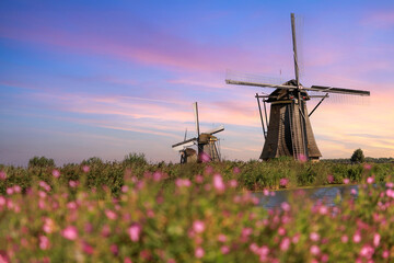 Windmill in Kinderdijk, Holland - obrazy, fototapety, plakaty