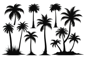 Travel the Tropics: Palm Tree Icon Set for Logos - obrazy, fototapety, plakaty