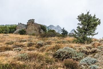 Mysterious mountain landscape of the Valley of Ghosts, a cluster of strangely shaped rocks on the western slope of Mount Demerdzhi in Crimea