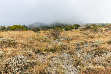 Mysterious mountain landscape of the Valley of Ghosts on the western slope of Mount Demerdzhi in Crimea. Popular tourism and trekking destination