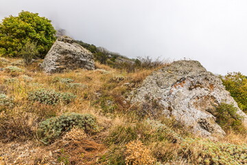 Mysterious mountain landscape of the Valley of Ghosts on the western slope of Mount Demerdzhi in Crimea. Popular tourism and trekking destination