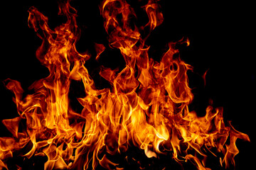 Flame fires. Burn lights on a black background. Fire flames on black background. Abstract fire flame background.