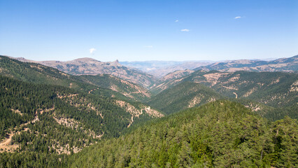 Mountains covered with forests. Aerial view of mountain hills covered with dense green lush woods on bright summer day