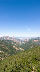 Naklejka premium Mountains covered with forests. Aerial view of mountain hills covered with dense green lush woods on bright summer day