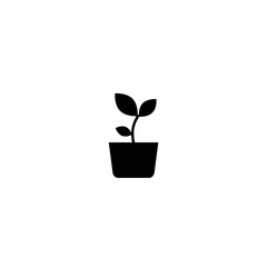 Eco plant icon isolated on white background 