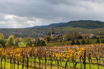 Fototapeta na wymiar vineyard and a village with a steeple